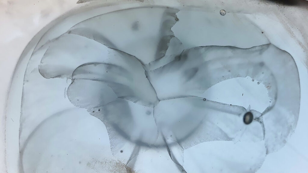 MRI Scan of Glass Sculpture by Gregory Alliss