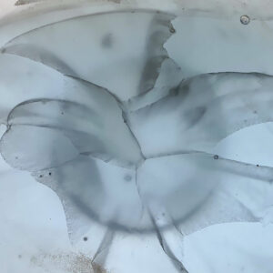 Between Glass and Magnetic Fields