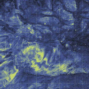 Right to Roam: Immersive Installation