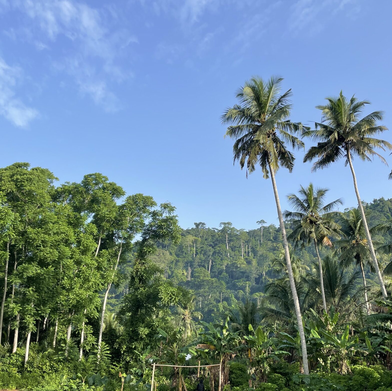 DI Seminar: Justice-led Conservation Technology